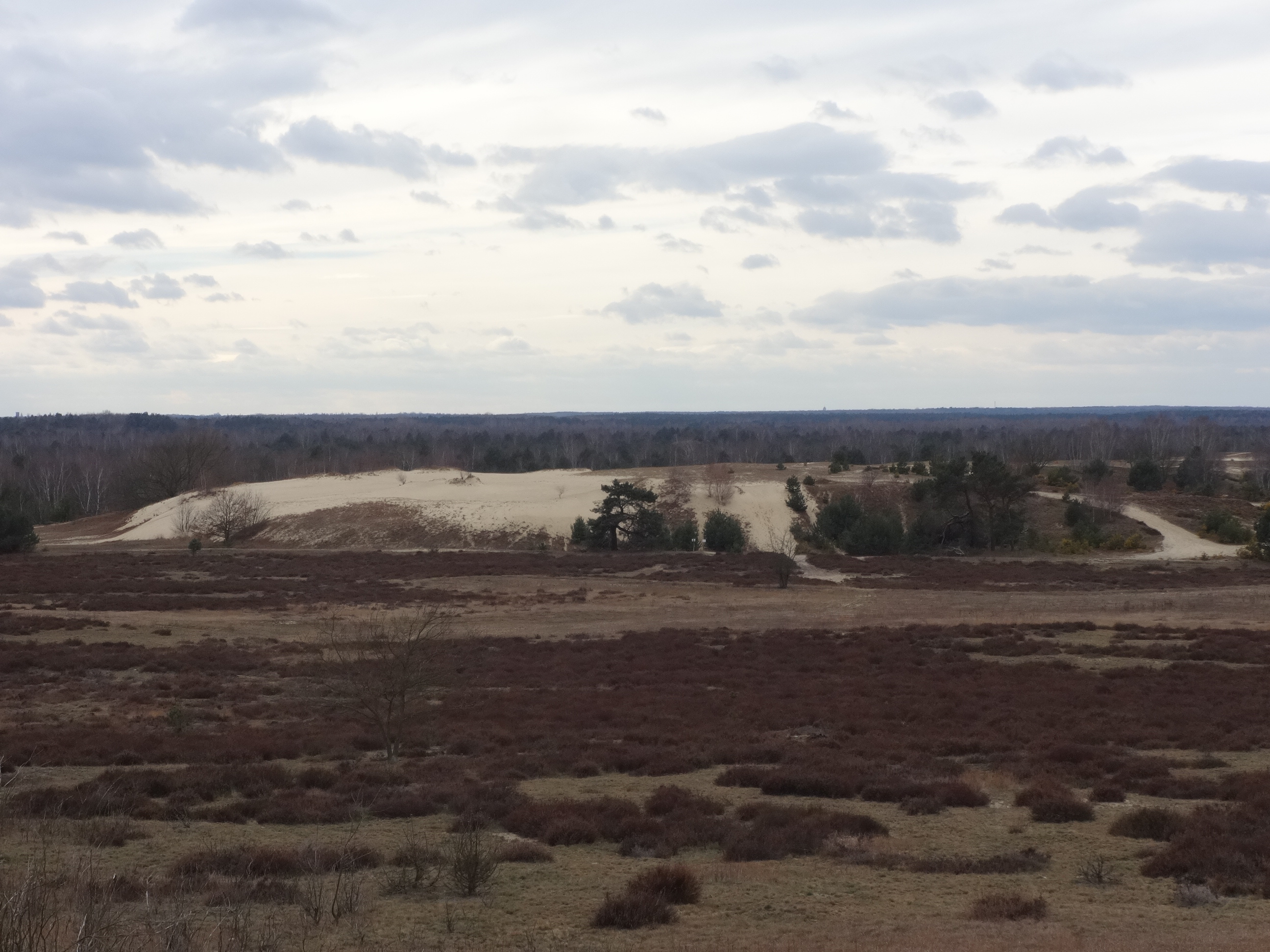 Truppenübungsplatz Jüterbog-Keilberg: Blick von einer militärischen Einrichtung über Heide und Wanderdüne